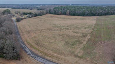 26 Acres Cooper Ln, Rogersville, AL 35652 - photo 7