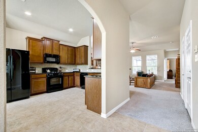 3707 Texas Sotol, San Antonio, TX 78261 - photo 5