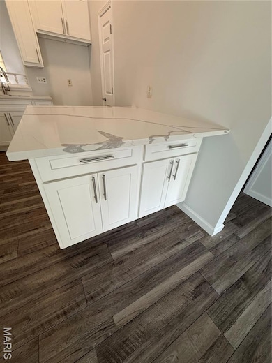 12910 Autumn View Dr, Saint Louis, MO 63146 - photo 6