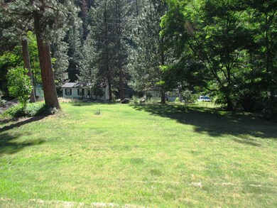 Large Front Yard