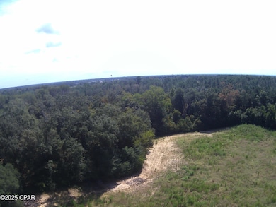 TBD Mashburn Rd, Marianna, FL 32448 - photo 7