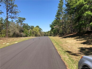 9820 N Langdon Rd, Citrus Springs, FL 34434 - photo 4