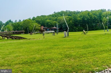 1836 Fairway Dr unit 218, Basye, VA 22810 - photo 5