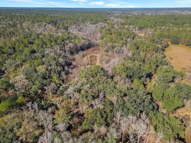 XX Gardners Farm Rd, Tallahassee, FL 32312 - photo 2