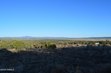 9908 Gleed Station Rd unit 187, Ash Fork, AZ 86320 - photo 6