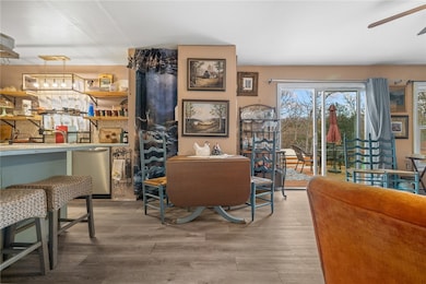 311 W Hazelwood Dr, Lead Hill, AR 72644 - photo 7