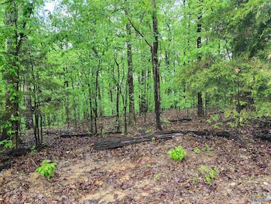 Lot 0 Huskey Mountain Rd, Laceys Spring, AL 35754 - photo 4