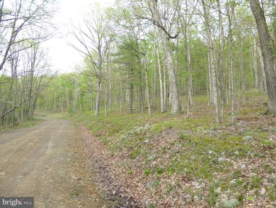 3 Cardinal Run, Augusta, WV 26704 - photo 5