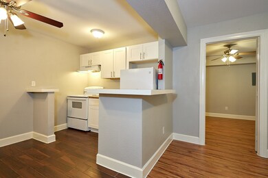 1419 Hawthorne St unit 29, Houston, TX 77006 - photo 3