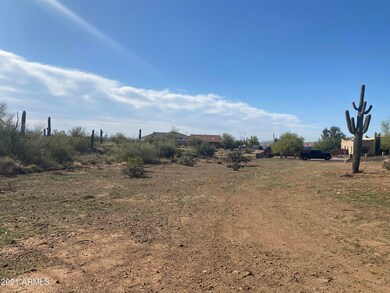 Seven Saguaros on property