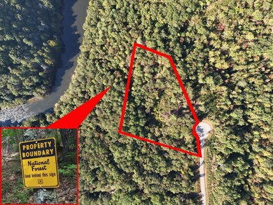 Lot 54 High River Landing, Ellijay, GA 30540 - photo 2