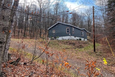 464 Curtis Ln, Hamden, NY 13782 - photo 3