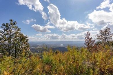 0 Hovering Hawk Dr unit 1326351, Jasper, TN 37347 - photo 2