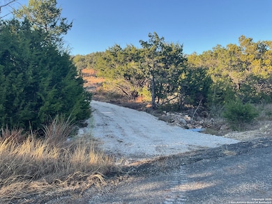 113 Champion Way, Spring Branch, TX 78070 - photo 2