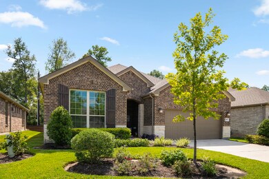 163 Dartmoor Ln, the Woodlands, TX 77354 - photo 2