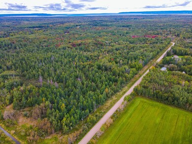 DJI_0795 - Copy-2