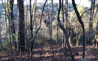 Additional View