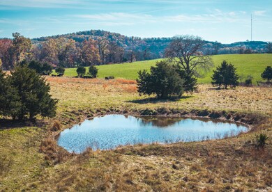 DJI_20241116120802_0538_D