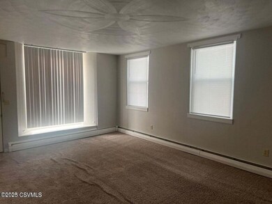 201 Vine St, New Berlin, PA 17855 - photo 6