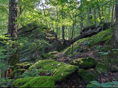 12521 Jack Run Rd, Lancaster, OH 43130 - photo 5