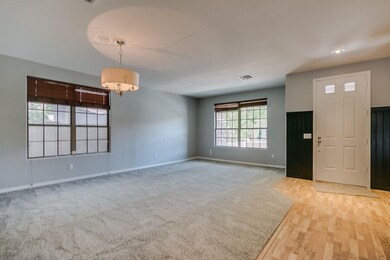 elmwood-08
