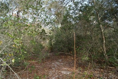 AREA PARTIALLY CLEARED ON THE BACK OF THE LOT