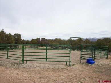 0 Cedar Mesa Rd unit 757710, Cedaredge, CO 81413 - photo 4