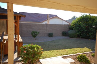 Backyard1
