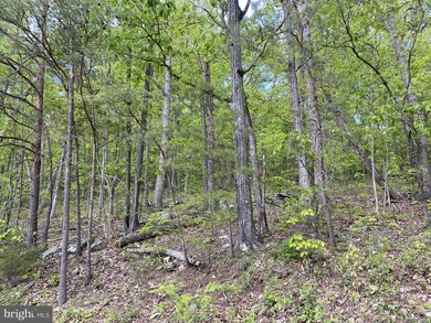 0 Cross Mountain Rd unit VAPA105960, Luray, VA 22835 - photo 4