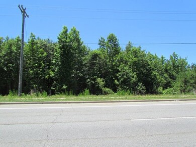 0 Highway 9 unit 291275, Inman, SC 29349 - photo 2