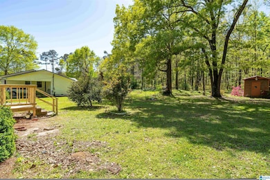 7561 Old Sylacauga Hwy, Childersburg, AL 35044 - photo 5