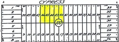 V/L W Cypress Ave, Lake Township, MI 49304 - photo 3