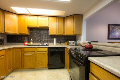 18733_Sarichef_Lp-6652