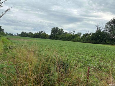 00 Randolph Dr, Centralia, IL 62801 - photo 4