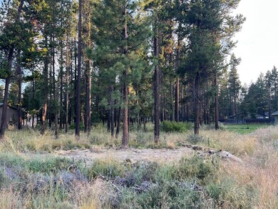 17216 Jacinto Rd, Bend, OR 97707 - photo 7