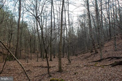 15 Ridges at Branch S, Romney, WV 26757 - photo 6