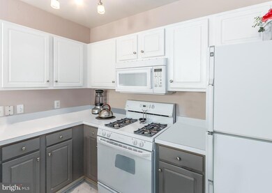8176 Cockburn Ct unit 303, Lorton, VA 22079 - photo 3