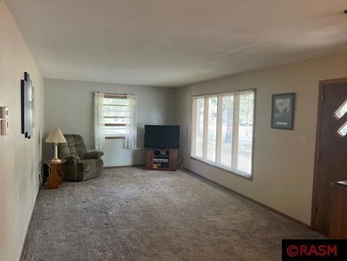 910 910 N 8th St, New Ulm, MN 56073 - photo 5