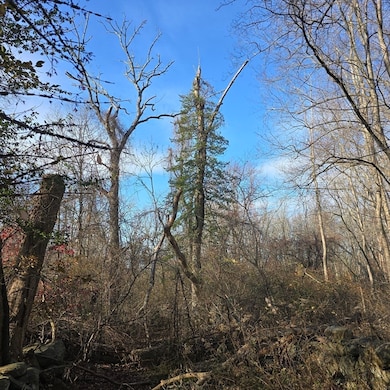 79 Hillside St, Milton, MA 02186 - photo 5