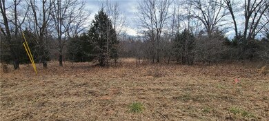 24 High Ridge Ln, Tecumseh, OK 74873 - photo 7