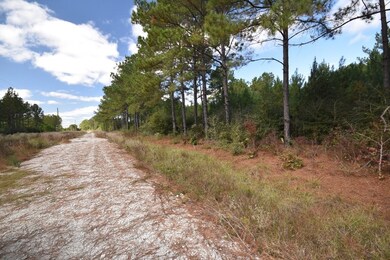 0 Bo Brown Rd unit 8177366, Trinity, TX 75862 - photo 5