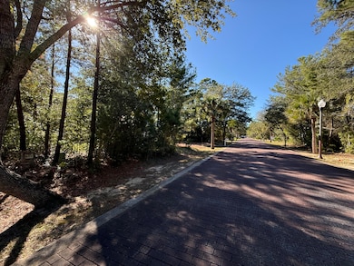 TBD Riker Ave, Santa Rosa Beach, FL 32459 - photo 2