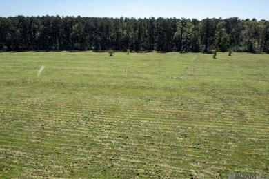 V5 Jim Price Rd, Clinton, LA 70722 - photo 5