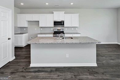 221 Lauritsen Way, Newnan, GA 30265 - photo 3