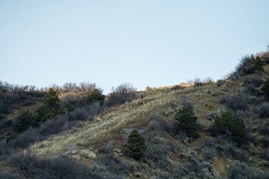 Tbd County 13 unit LotWP001, Rifle, CO 81650 - photo 2