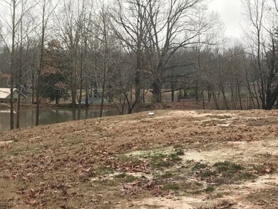 lot photo 4