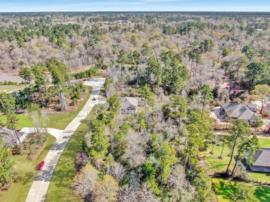 25210 Melanie Pointe, Tomball, TX 77375 - photo 6