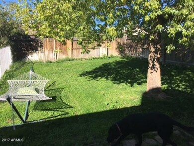 Excellent shade tree