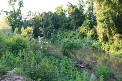 13565 Rosewood Dr unit Lot  31, Ponchatoula, LA 70454 - photo 4