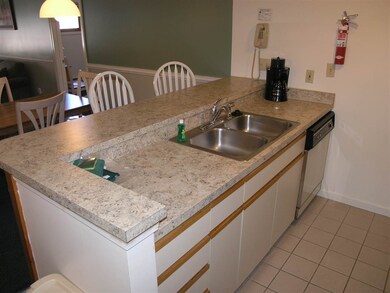 164 Deer Park Dr unit 177C, Woodstock, NH 03262 - photo 6